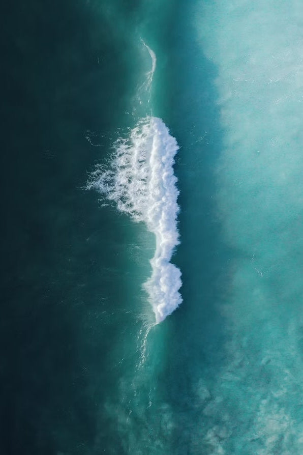 Fantasia